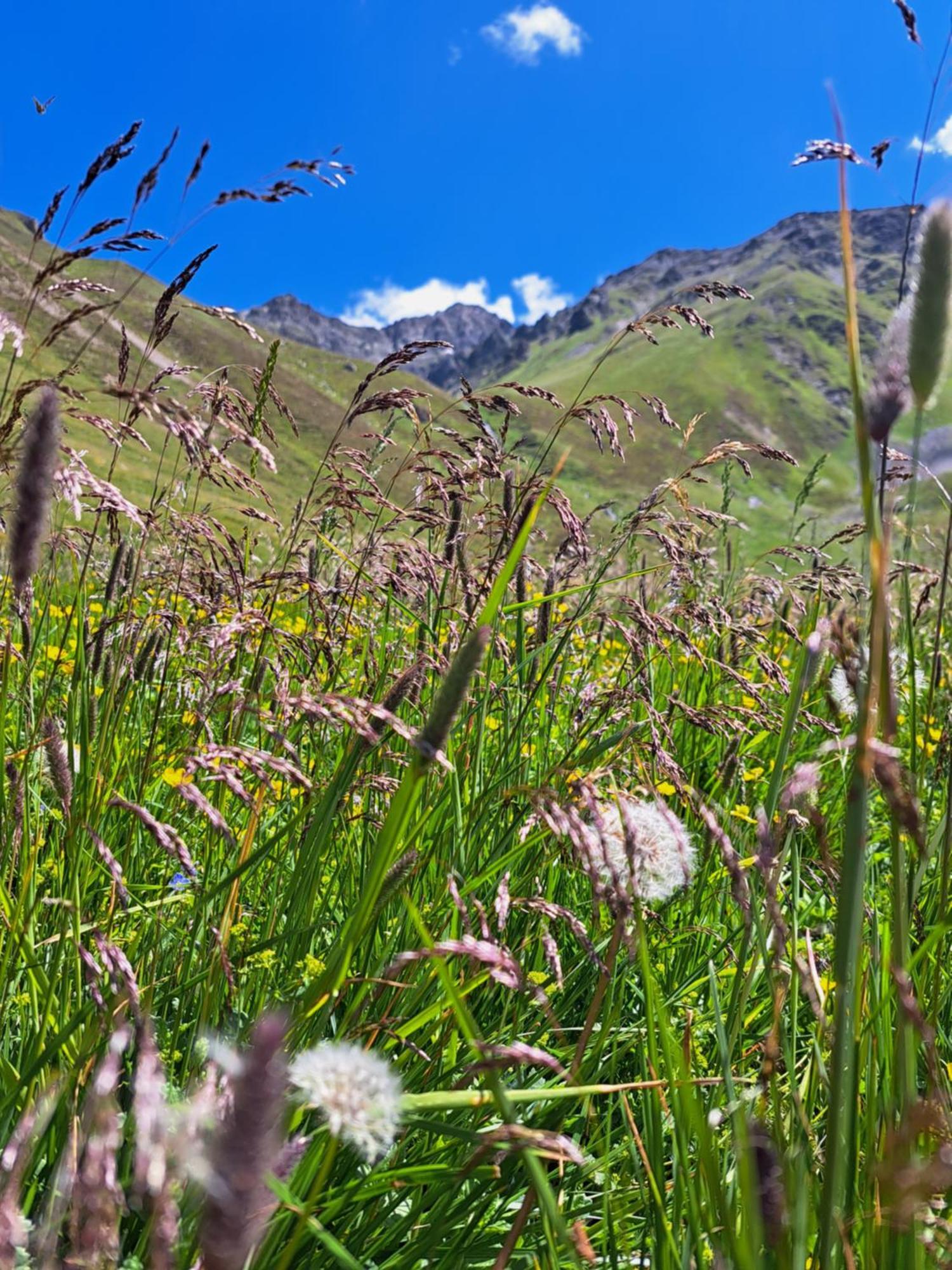 Apart Am Brunnen Ried im Oberinntal Εξωτερικό φωτογραφία