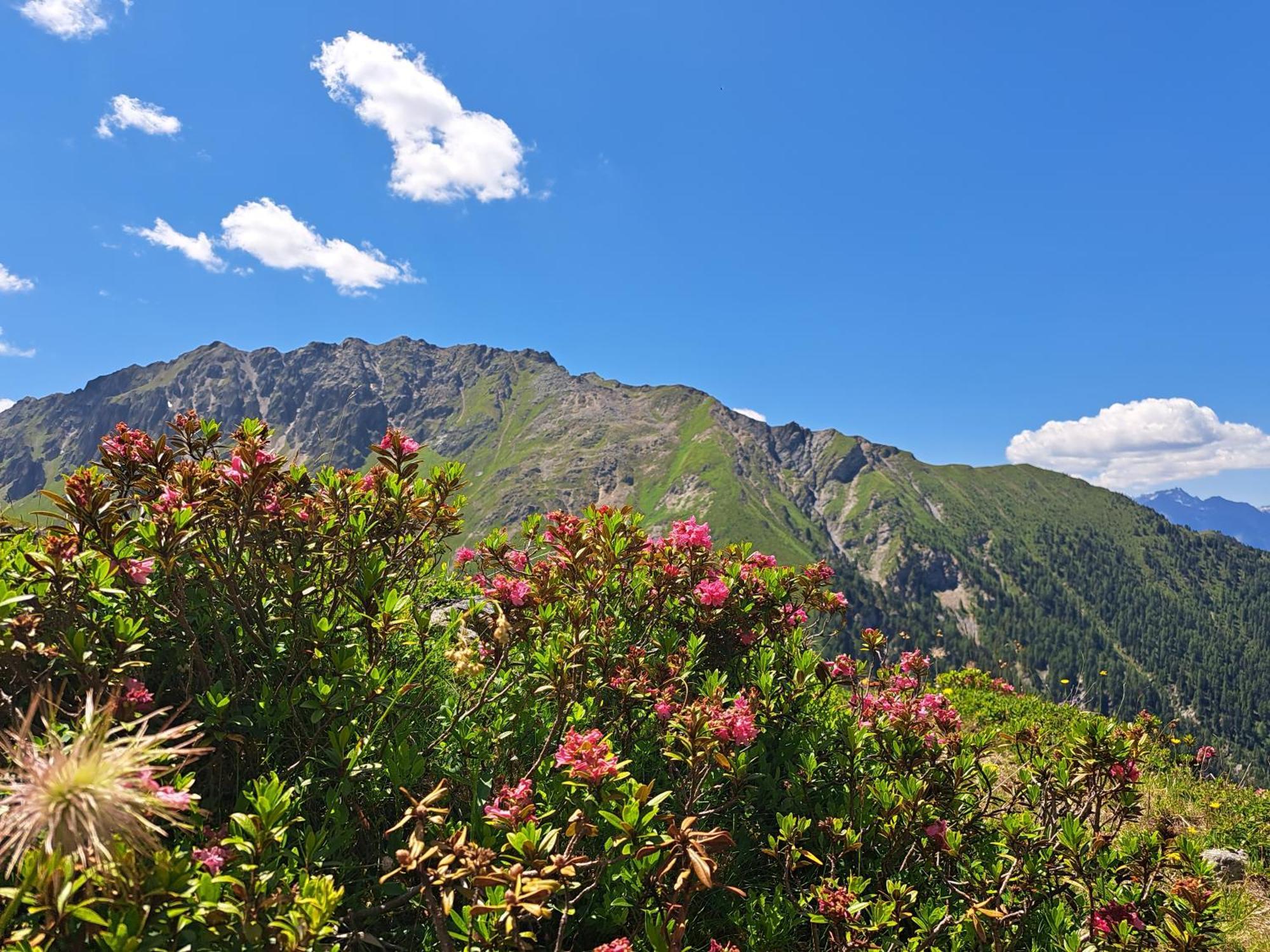 Apart Am Brunnen Ried im Oberinntal Εξωτερικό φωτογραφία